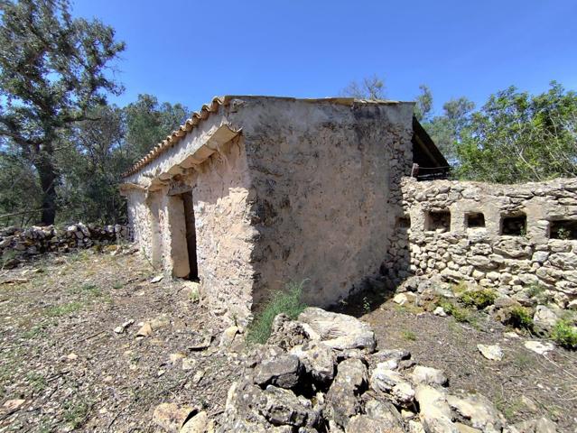 Terreno Urbanizable En venta en Costitx, Costitx photo 0