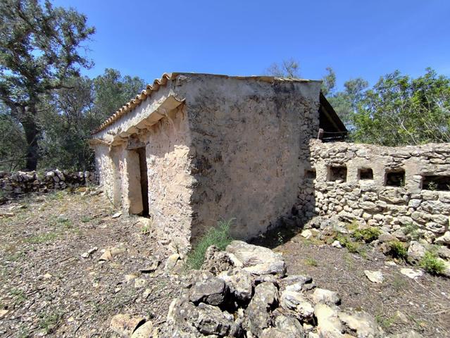 Terreno Urbanizable En venta en Costitx, Costitx photo 0