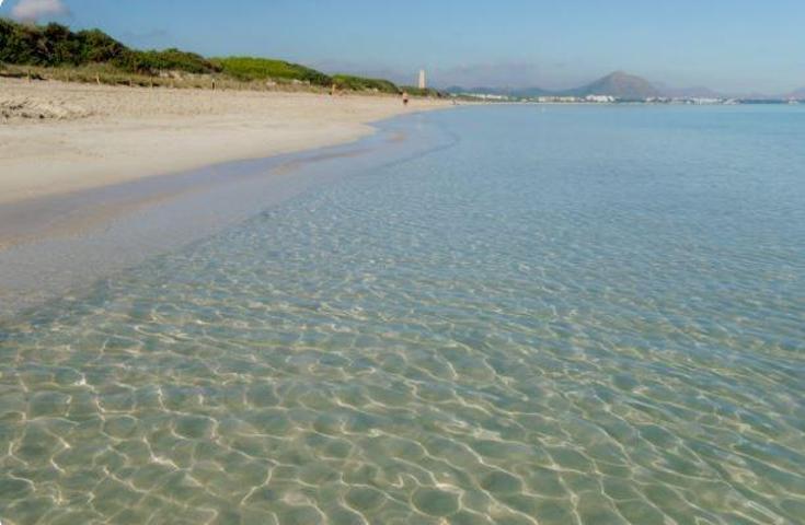 Piso En venta en Playa Muro, Muro photo 0