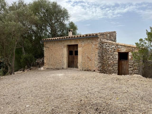 Terreno Urbanizable En alquiler en Costitx, Costitx photo 0