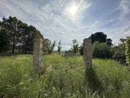 Se vende casita en cela de Núñez photo 0