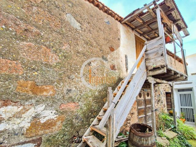 Otro En venta en Buenavista Del Norte photo 0