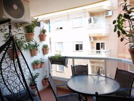 Alquiler en centro Torrevieja photo 0