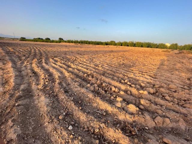 ¡Tu Sueño a un paso de la realidad: Terreno de 4847 m2 con Potencial Ilimitado en La Hoya! ¡A 5 Minutos de la Playa y la photo 0