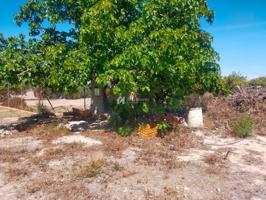 ¡Oportunidad Única! Parcela de 3000m² en La Hoya: Tu Refugio de Naturaleza a un Paso de la Ciudad photo 0