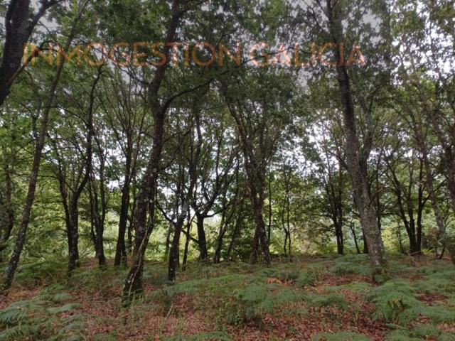 Parcela en Venta en Goian Lugo photo 0