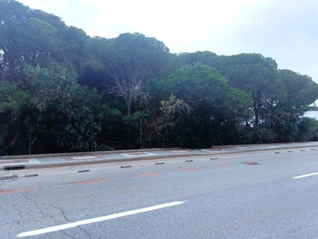 PARCELA URBANA EN LA BARROSA DE 2100M photo 0