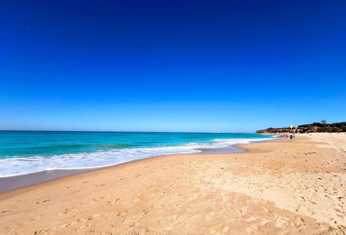 CHALET EN LA BARROSA photo 0