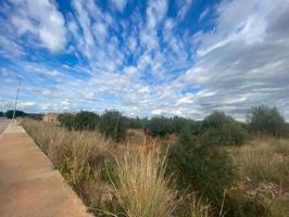 Se vende parcela junto el centro logístico Amazon photo 0