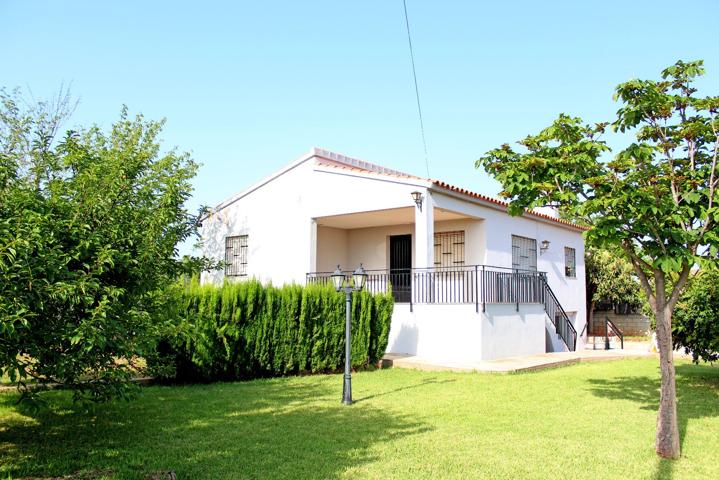 Chalet con jardín, piscina y barbacoa en Vila-real photo 0