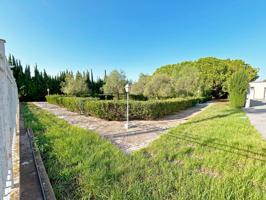 Parcela urbana 1650 m² en Vila-real con opción de división photo 0