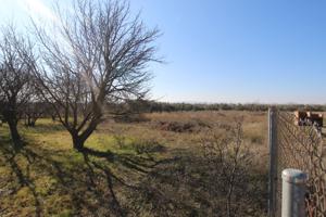 Otro En venta en Ombatillo, Corella photo 0