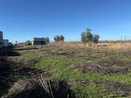 Venta - Almendralejo, Badajoz photo 0