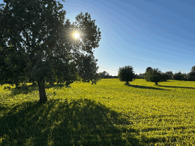 Terreno Urbanizable En venta en Via De Servicio M-19. 07609, Llucmajor (baleares), Llucmajor photo 0