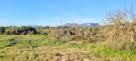 Terreno Urbanizable En venta en Poligono. 07620, Llucmajor (baleares)llucmajor Interior, Llucmajor photo 0