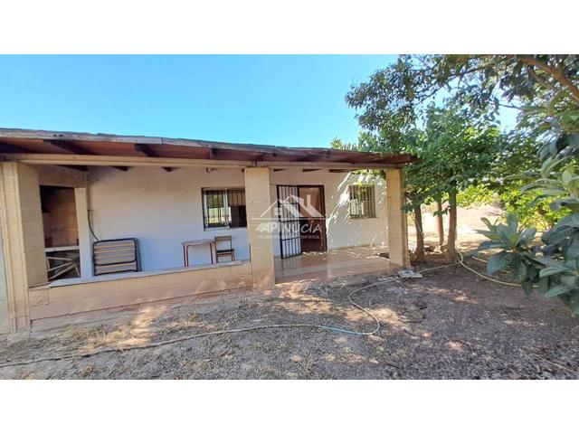 Terreno rústico, huerta con 2600 m2 en Partida Barranquet 60, Altea con Caseta de 54 m2 photo 0