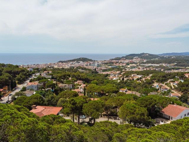 PARCELA EDIFICABLE EN LLORET DE MAR photo 0