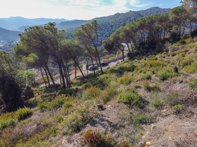 PARCELA DE TERRENO EN DOSRIUS photo 0