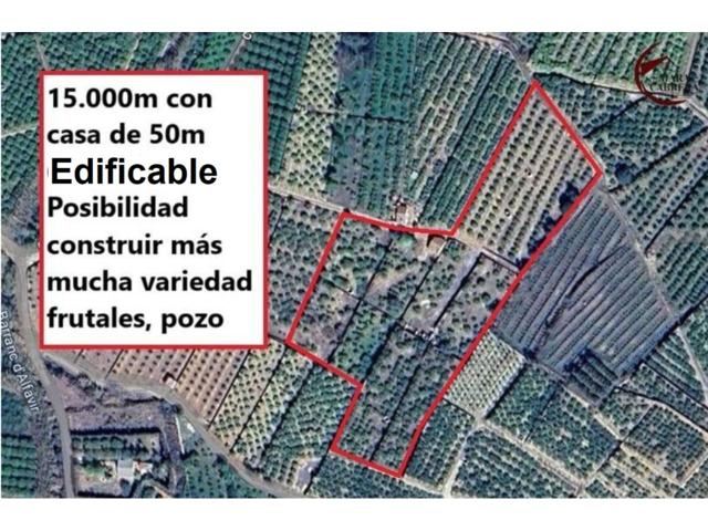Terreno en venta en Alfauir photo 0