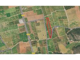 Terreno de 5600m en la carretera Oliva-Pego photo 0