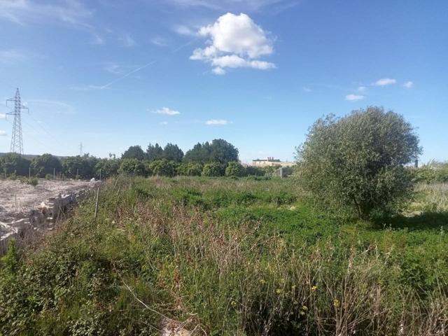 Disfruta del campo a 900 metros del mar en Miramar photo 0