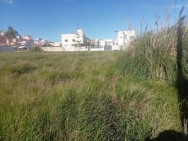 Terreno de 981m divisible en la playa de Bellreguard photo 0