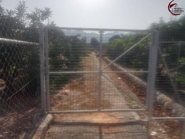Oportunidad de terreno agrario en Marxuquera, vallado y con acceso cómodo photo 0