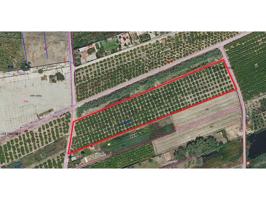 Terreno amplio con plantación activa junto al polígono sur de Xeraco photo 0