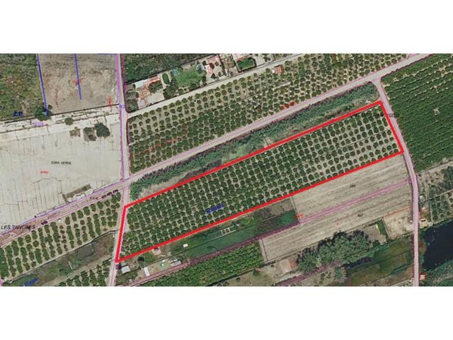 Terreno amplio con plantación activa junto al polígono sur de Xeraco photo 0