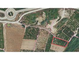 Terreno de 2001 m² (2,5 hanegadas) con cítricos en producción y gran potencial en Marxuquera Sur photo 0