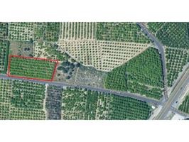 Terreno agrario en venta entre Oliva y Alqueria de la Condesa photo 0