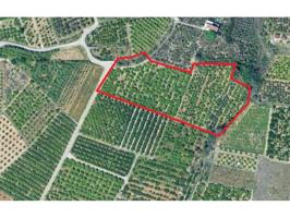 Amplio terreno agrícola en Beniarjó con opción de edificación photo 0