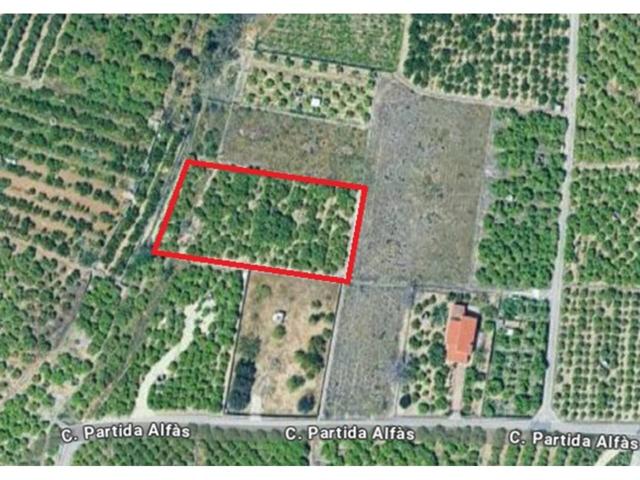 Terreno rústico de 2.525 m² en Beniarjó, económico e ideal como huerto personal photo 0