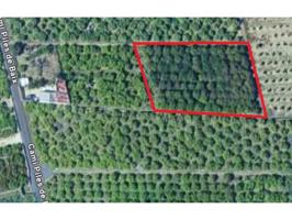 Se vende terreno agrario en Oliva – Camino Viejo de Piles photo 0