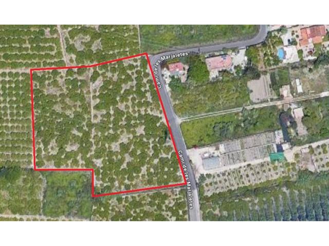 Terreno rústico en venta – Camino Marjaletes, Oliva photo 0