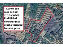 Terreno en venta en Alfauir photo 0