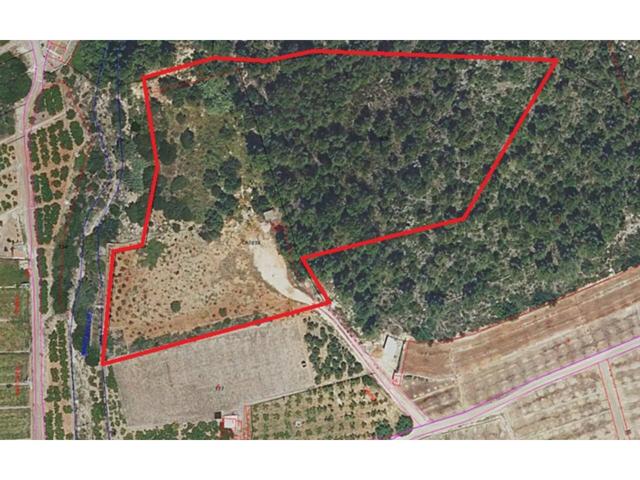 Terreno de 17300m en la zona sur de Ador con posibilidad de construir photo 0