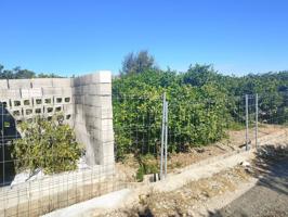 Terreno rústico con naranjos y camino privado – zona sur de Oliva photo 0