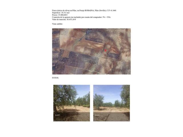 Finca rustica de olivar en Pilas photo 0