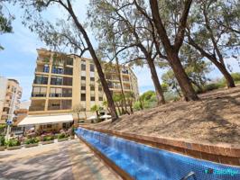 Apartamento con vistas al parque, 3 dormitorios photo 0
