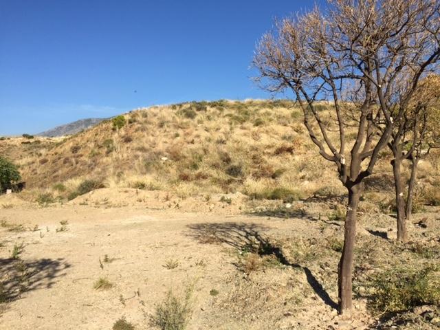Terreno Urbanizable En venta en Fuengirola photo 0