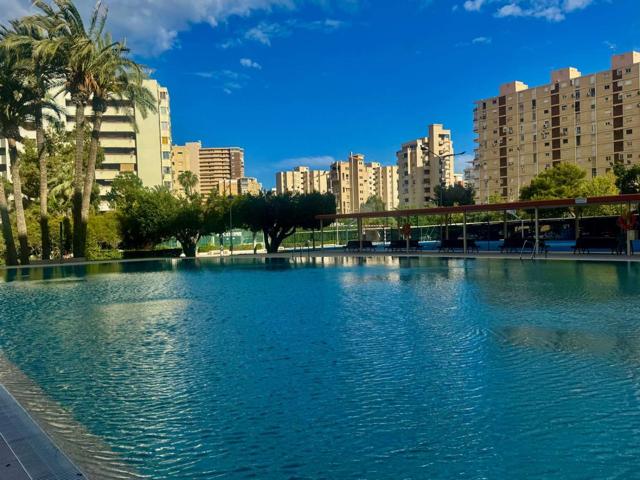 Piso En venta en Holanda. 03540, Alicanteplaya De San Juan | Distrito 4, Playa De San Juan, Alicante photo 0