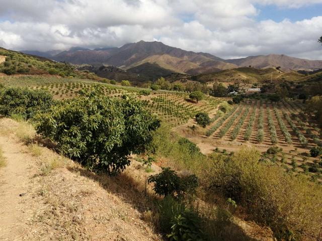 Terreno Urbanizable En venta en Mijas photo 0