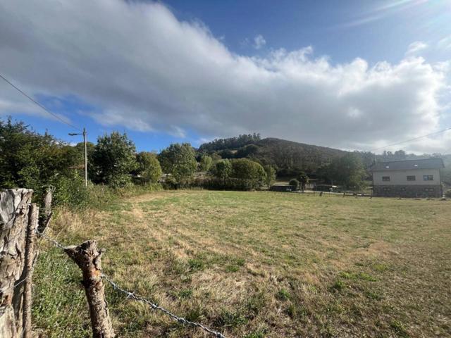 FINCA LLANA Y EDIFICABLE EN VENTA – BRAÑES (CONCEJO DE OVIEDO) photo 0
