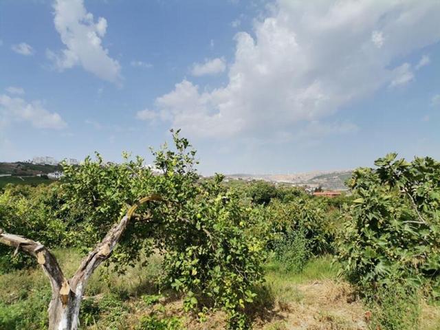 PARCELA DE MAS DE 7000M2 CON CASA DE CAMPO Y HUERTO photo 0