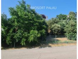 PARCELA EN CAN FALGUERA photo 0