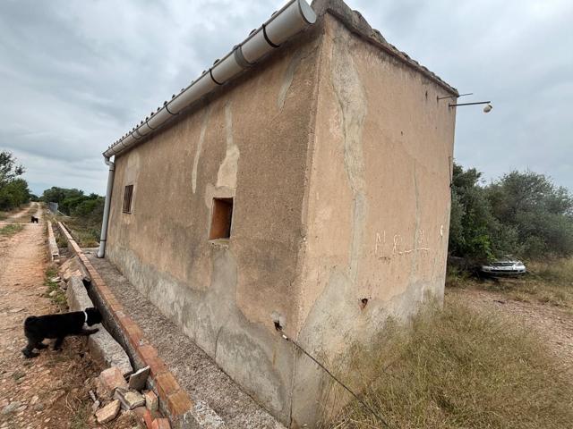Casa En venta en Castellón de la Plana-Castelló de la Plana photo 0