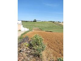 Terreno Urbanizable En venta en Conil De La Frontera photo 0