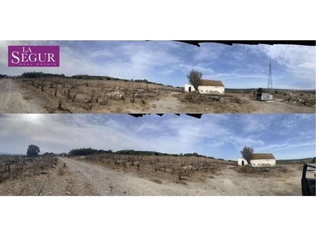 Terreno Urbanizable En venta en Medina Sidonia photo 0