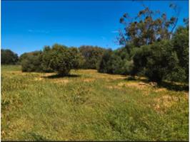Granja En venta en Barbate photo 0